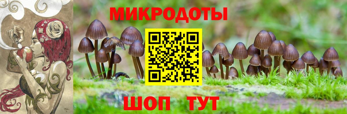 Кимры  закладка  Вход с VPN  Псилоцибиновые грибы Psilocybine cubensis 