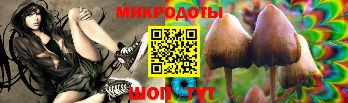 Псилоцибиновые грибы мицелий Кимры